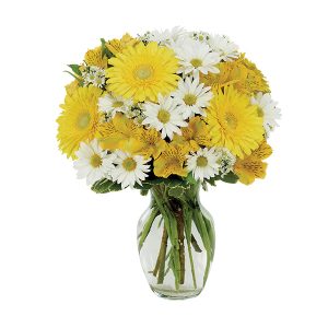 DAISY A DAY BOUQUET