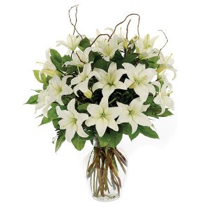 LOVING LILIES-WHITE