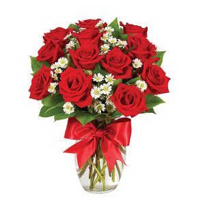 1 DOZEN ROSES - RED