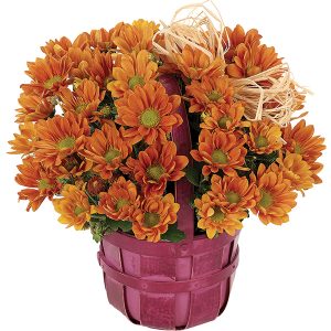 Fall Daisy Bushel Basket