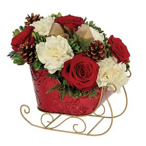 Holiday Sleigh Surprise - Keepsake