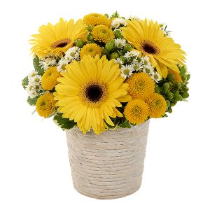 Sunny Day Dream Bouquet