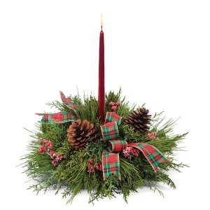 Bright Evergreen Centerpiece