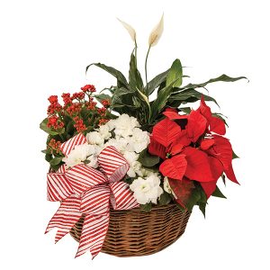 Christmas Candy Cane Basket